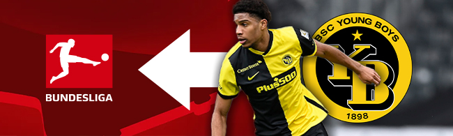 Transfer Amenda zur Bundesliga